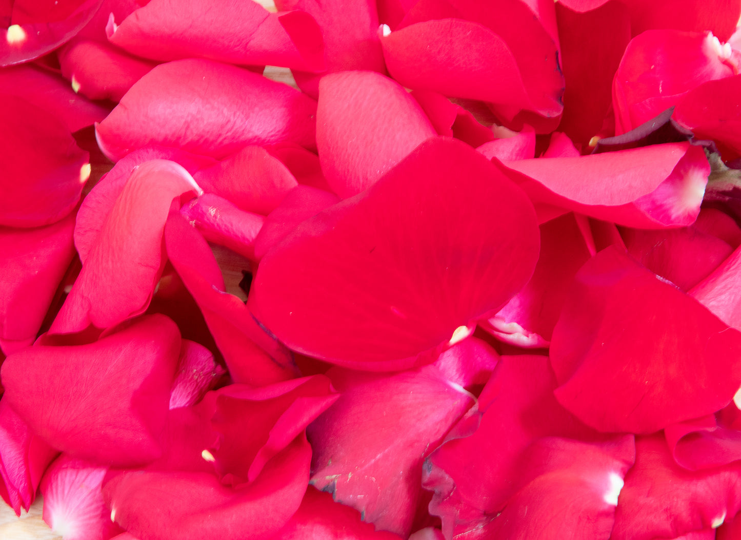 VELVET ROSE ROOM SPRAY